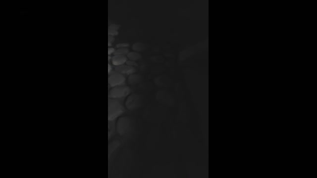 7PuPu  03-04-2023
